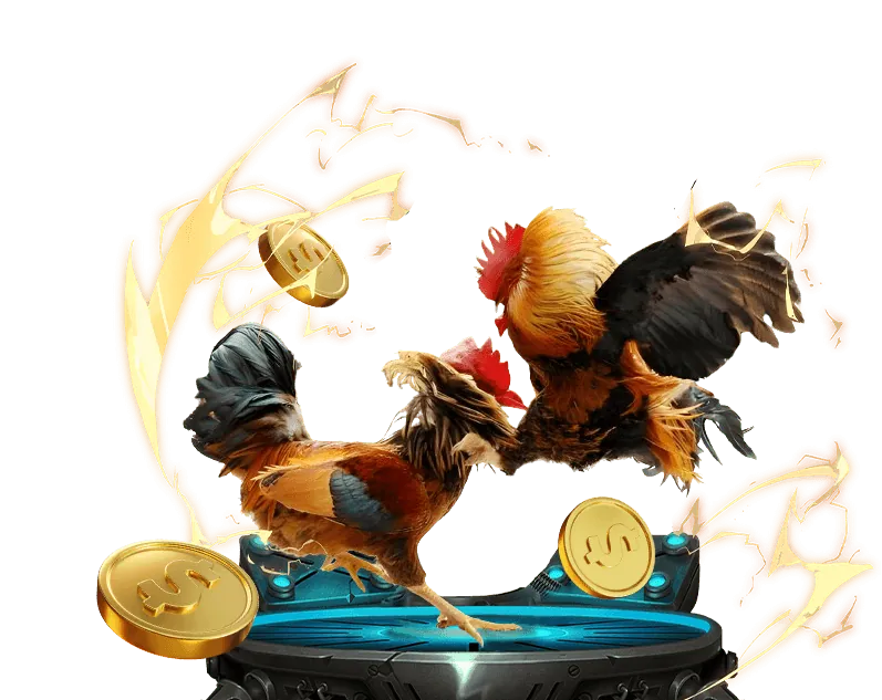 Cá cược có trách nhiệm với daga88 link